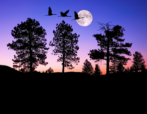 Moon Light alsunna.org (3)